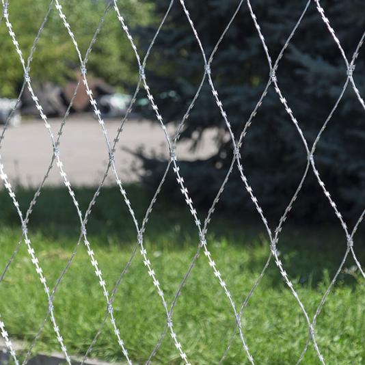 Сітка колюча Піранья