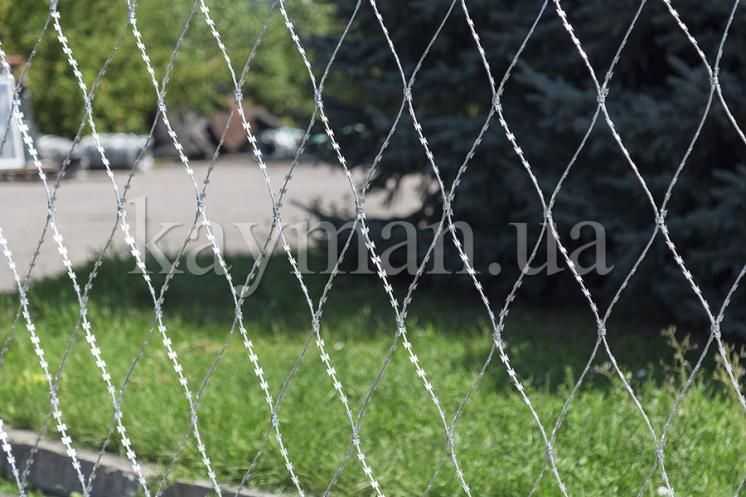 Сітка колюча Піранья